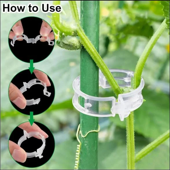 50 PCs । Reusable Plant Climbing Clip । CN-43